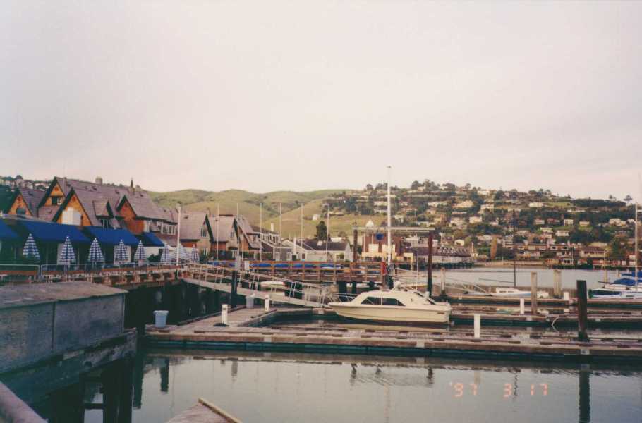 Tiburon (SF)